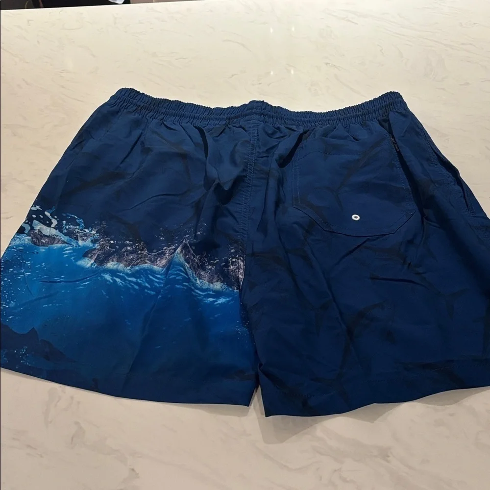 Wave Life Blue Swim Shorts with Marlin
